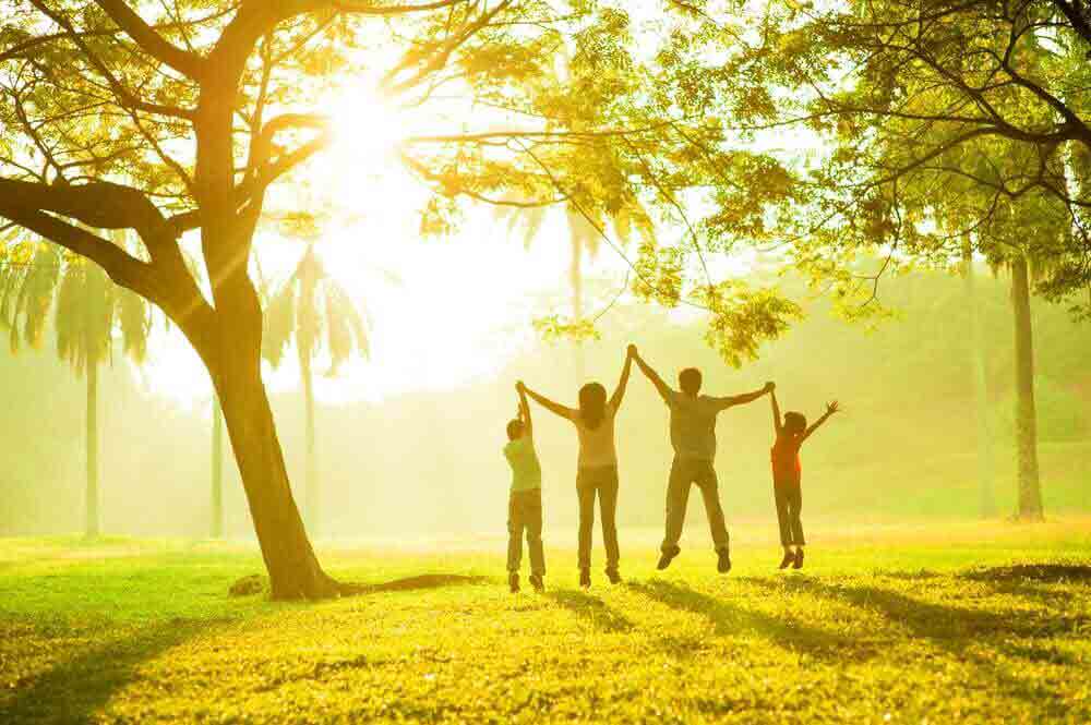 Family Outdoors - Playground | Creative System