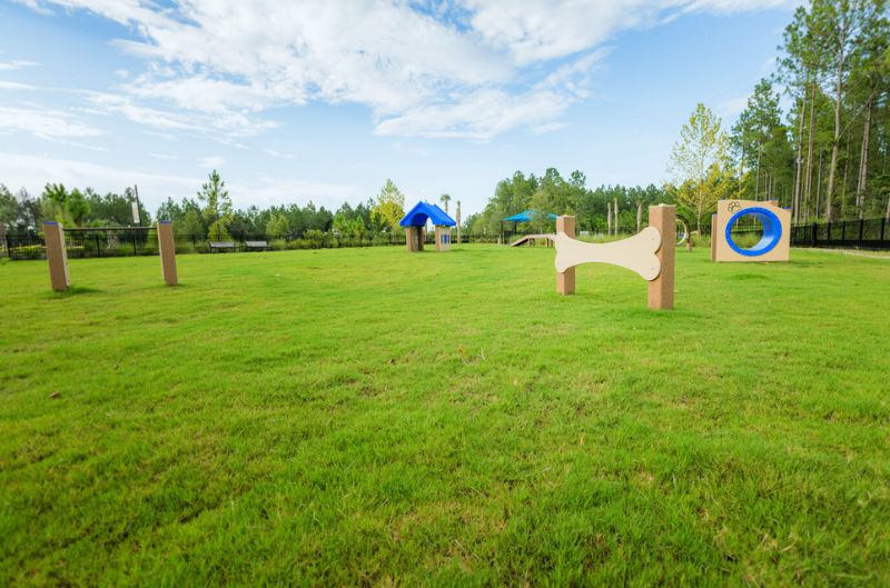 Pawsitively Perfect Designing and Maintaining Off Leash Dog Parks